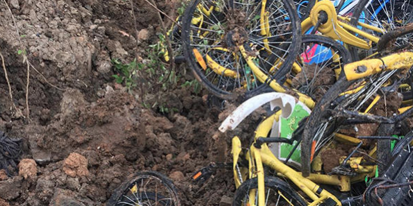 01A80DC8-2C0C-497E-88A2-87F4642E1E3E